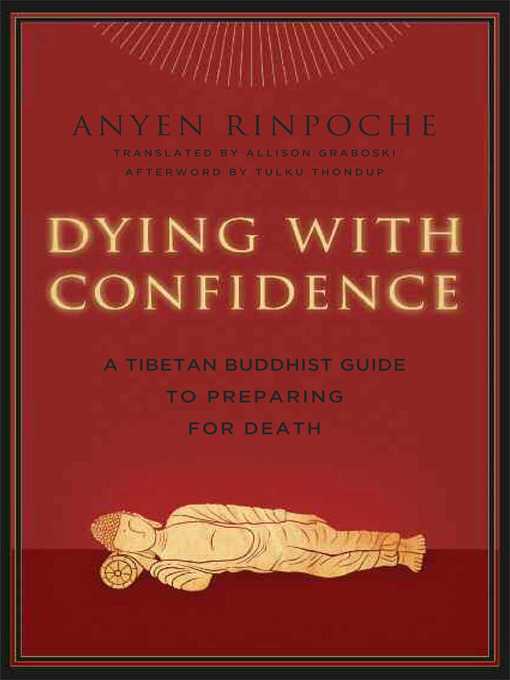 Title details for Dying with Confidence by Anyen - Wait list